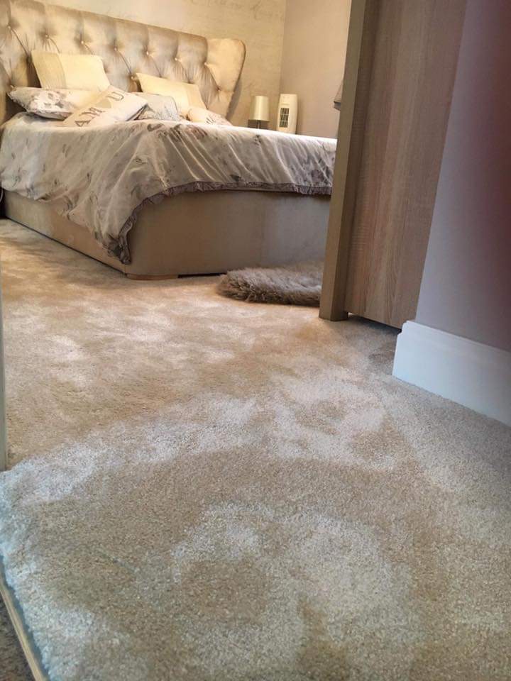 carpet installers cheltenham